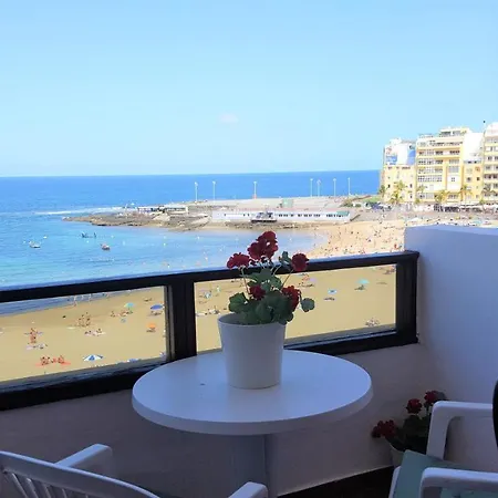 White Rose * 大加那利岛拉斯帕尔马斯